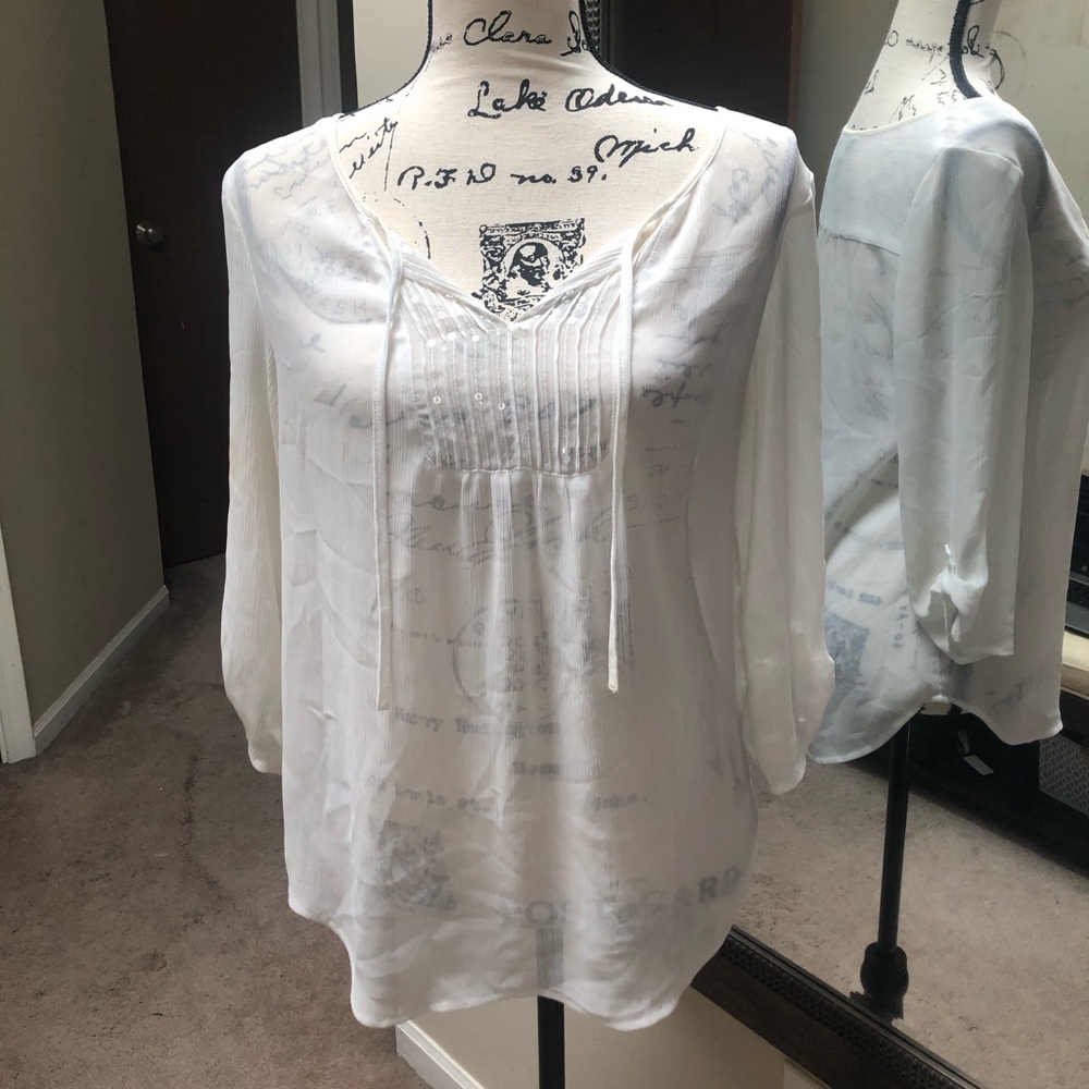 Express sheer blouse